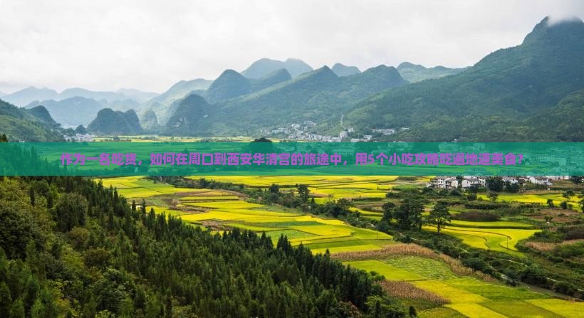 作为一名吃货，如何在周口到西安华清宫的旅途中，用5个小吃攻略吃遍地道美食？
