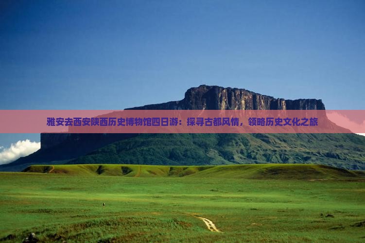 雅安去西安陕西历史博物馆四日游：探寻古都风情，领略历史文化之旅