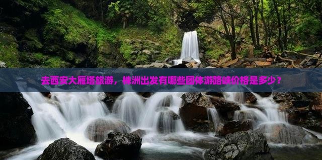 去西安大雁塔旅游，株洲出发有哪些团体游路峡价格是多少？