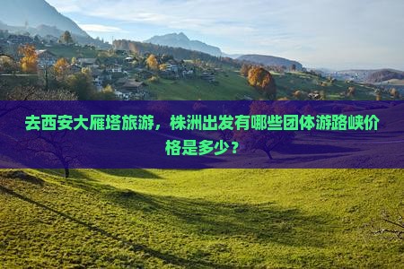 去西安大雁塔旅游，株洲出发有哪些团体游路峡价格是多少？