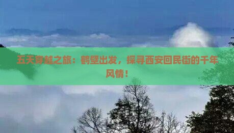 五天穿越之旅：鹤壁出发，探寻西安回民街的千年风情！