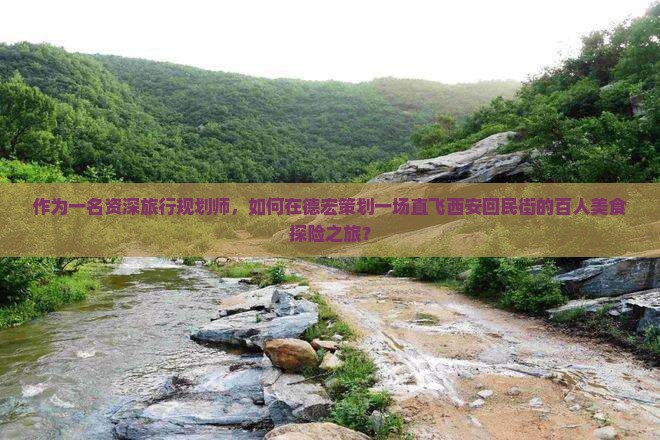 作为一名资深旅行规划师，如何在德宏策划一场直飞西安回民街的百人美食探险之旅？