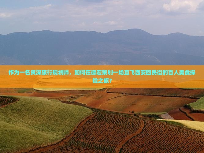 作为一名资深旅行规划师，如何在德宏策划一场直飞西安回民街的百人美食探险之旅？