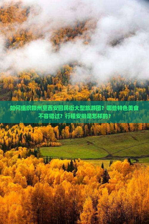 如何组织赣州至西安回民街大型旅游团？哪些特色美食不容错过？行程安排是怎样的？