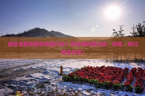 曲靖去西安回民街旅行社？想省钱的看过来，攻略、网红地全在这！