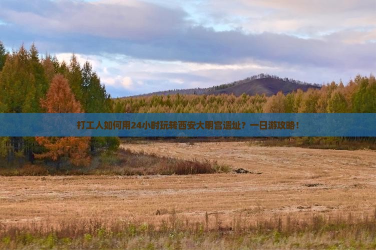 打工人如何用24小时玩转西安大明宫遗址？一日游攻略！