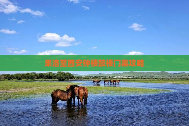 果洛至西安钟楼鼓楼门票攻略
