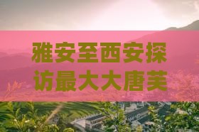 雅安至西安探访最大大唐芙蓉园二日深度游