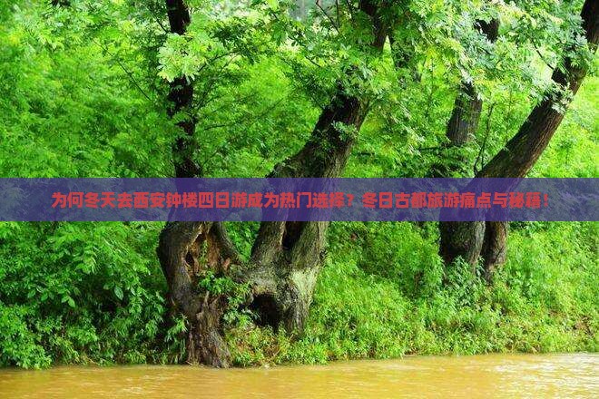 为何冬天去西安钟楼四日游成为热门选择？冬日古都旅游痛点与秘籍！