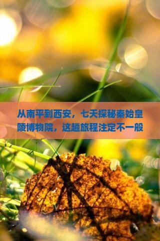 从南平到西安，七天探秘秦始皇陵博物院，这趟旅程注定不一般？
