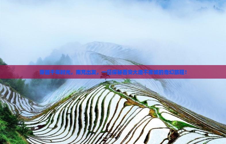 穿越千年时光，南充出发，一日探秘西安大唐不夜城的奇幻旅程！