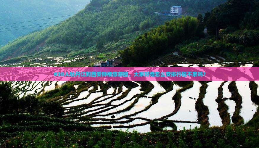 #30人牡丹江到西安钟楼旅游团，大家好奇怎么安排行程不累吗？