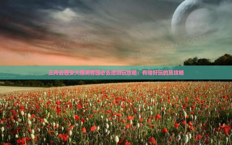三月去西安大唐芙蓉园必去地游玩攻略：有啥好玩的及攻略