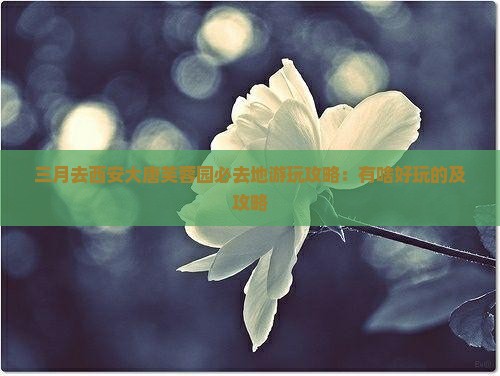 三月去西安大唐芙蓉园必去地游玩攻略：有啥好玩的及攻略