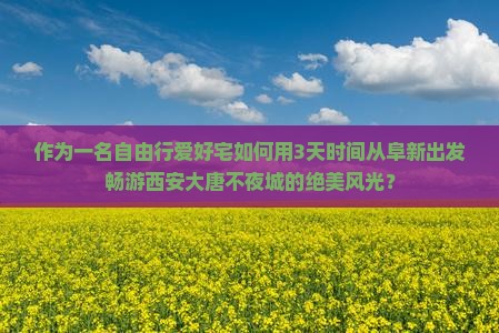 作为一名自由行爱好宅如何用3天时间从阜新出发畅游西安大唐不夜城的绝美风光？