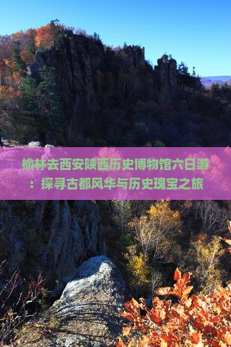 榆林去西安陕西历史博物馆六日游：探寻古都风华与历史瑰宝之旅