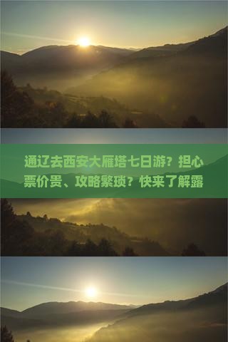 通辽去西安大雁塔七日游？担心票价贵、攻略繁琐？快来了解露营、飞盘、种草拔草全攻略！