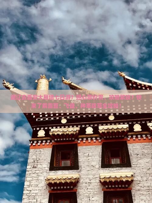 通辽去西安大雁塔七日游？担心票价贵、攻略繁琐？快来了解露营、飞盘、种草拔草全攻略！