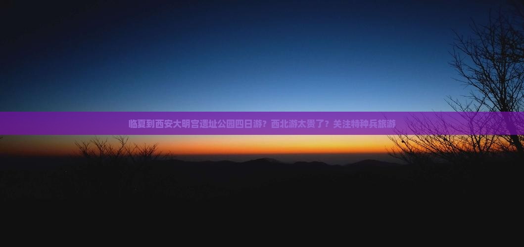 临夏到西安大明宫遗址公园四日游？西北游太贵了？关注特种兵旅游