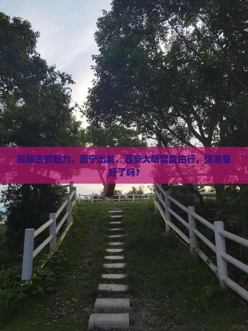 探秘古都魅力，西宁出发，西安大明宫自由行，你准备好了吗？