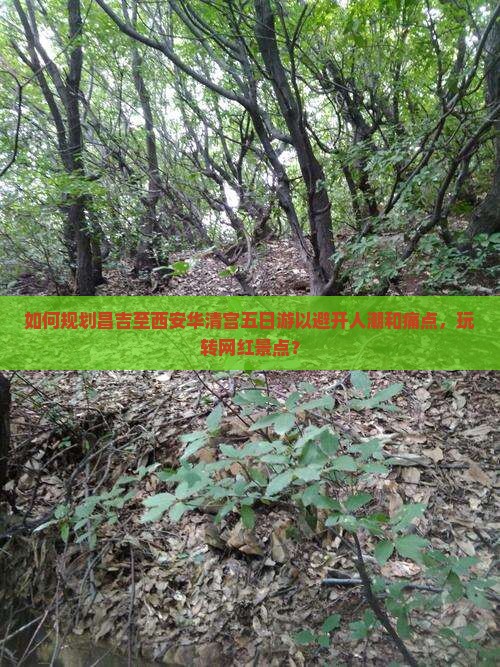 如何规划昌吉至西安华清宫五日游以避开人潮和痛点，玩转网红景点？