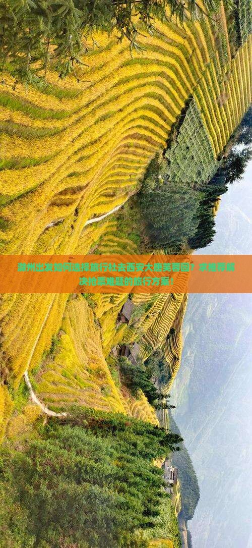 滁州出发如何选择旅行社去西安大唐芙蓉园？求推荐解决抢票难题的旅行方案！