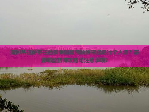 如何从拉萨前往西安秦始皇帝陵博物院进行个人游？需要哪些旅游攻略和注意事项？