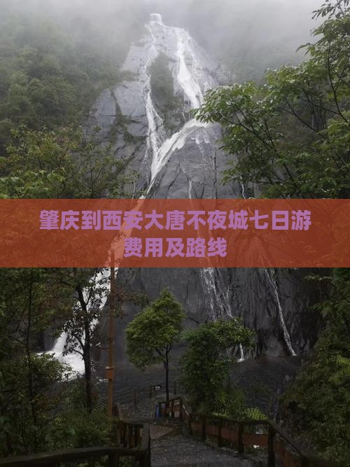 肇庆到西安大唐不夜城七日游费用及路线