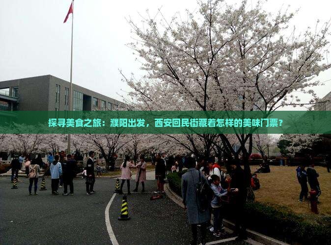 探寻美食之旅：濮阳出发，西安回民街藏着怎样的美味门票？