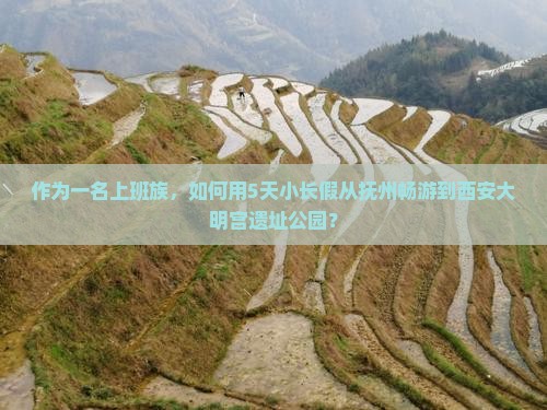 作为一名上班族，如何用5天小长假从抚州畅游到西安大明宫遗址公园？