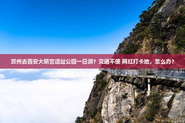 贺州去西安大明宫遗址公园一日游？交通不便+网红打卡地，怎么办？
