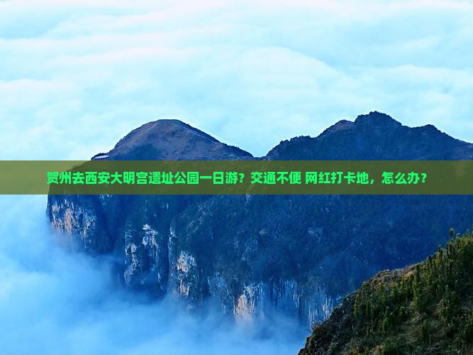 贺州去西安大明宫遗址公园一日游？交通不便+网红打卡地，怎么办？