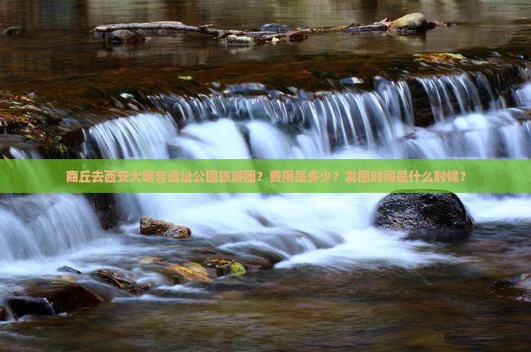 商丘去西安大明宫遗址公园旅游团？费用是多少？发团时间是什么时候？
