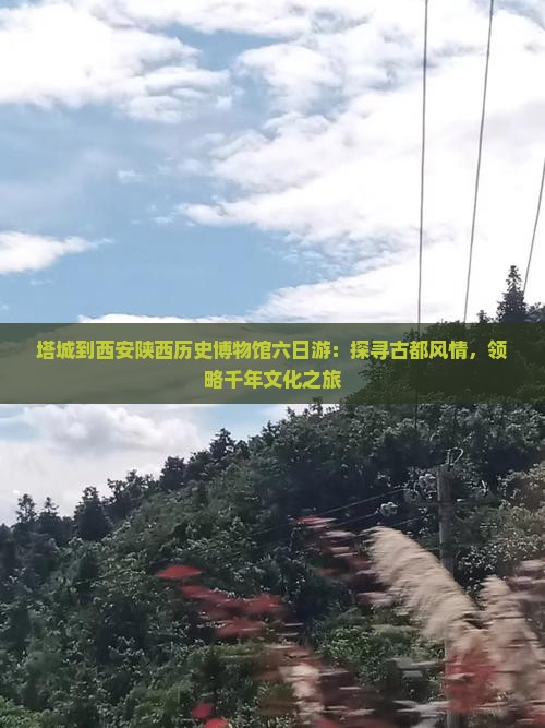塔城到西安陕西历史博物馆六日游：探寻古都风情，领略千年文化之旅