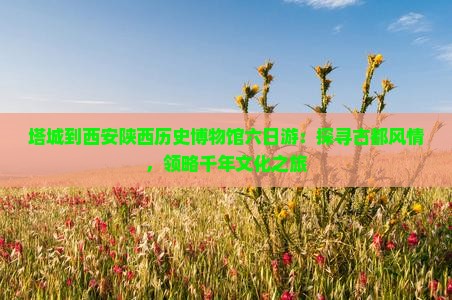 塔城到西安陕西历史博物馆六日游：探寻古都风情，领略千年文化之旅