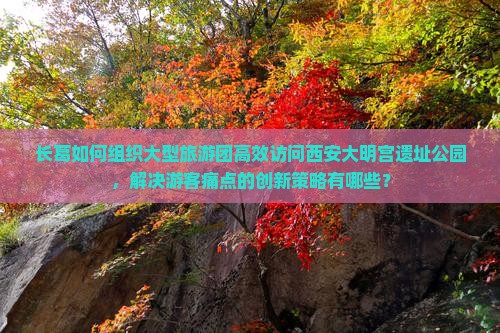 长葛如何组织大型旅游团高效访问西安大明宫遗址公园，解决游客痛点的创新策略有哪些？
