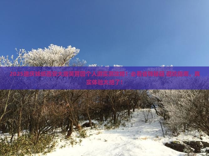 迪庆去西安大唐芙蓉园个人游