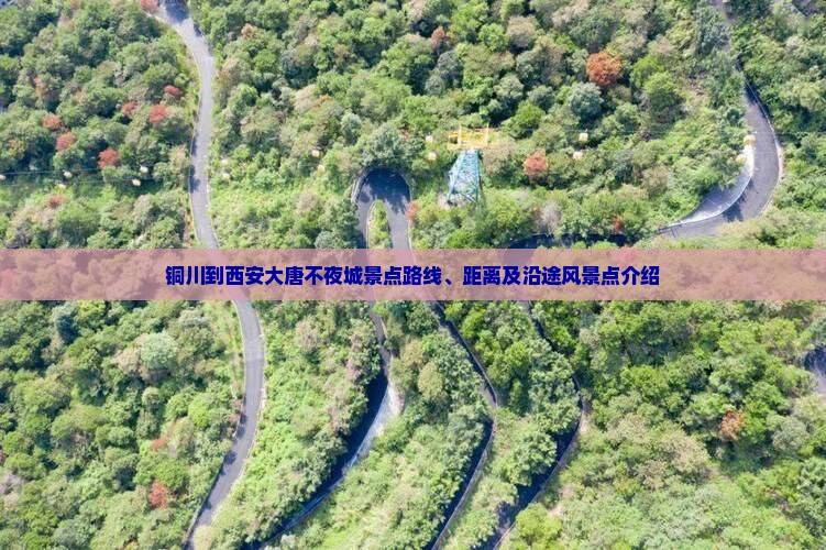铜川到西安大唐不夜城景点