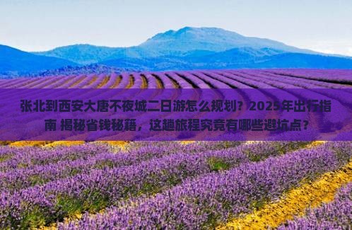 张北到西安大唐不夜城二日游
