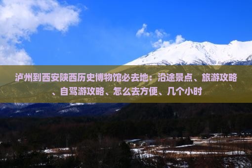 泸州到西安陕西历史博物馆必去地