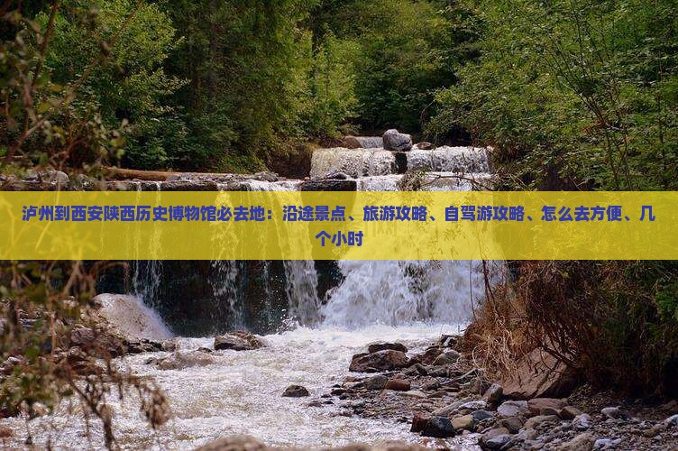 泸州到西安陕西历史博物馆必去地