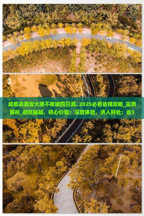 成都去西安大唐不夜城四日游