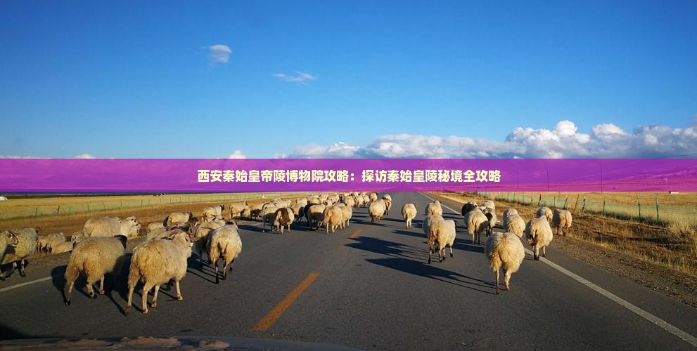 雅安到西安秦始皇帝陵博物院攻略