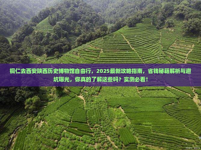 铜仁去西安陕西历史博物馆自由行