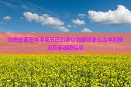 沧州去西安华清宫五日游