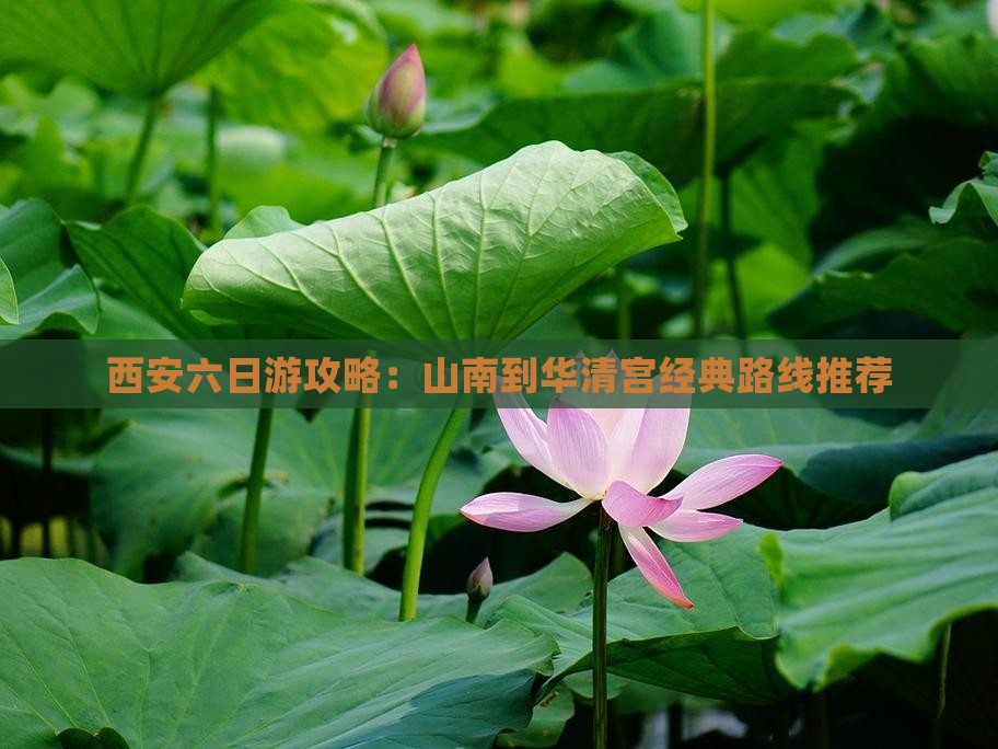 山南去西安华清宫六日游