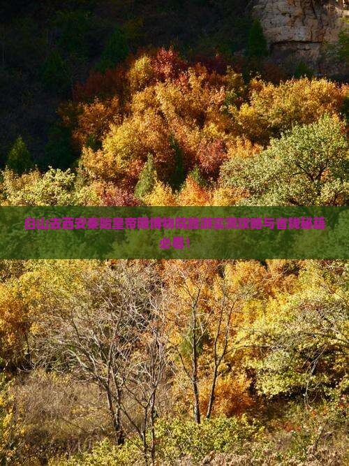 白山去西安秦始皇帝陵博物院旅游
