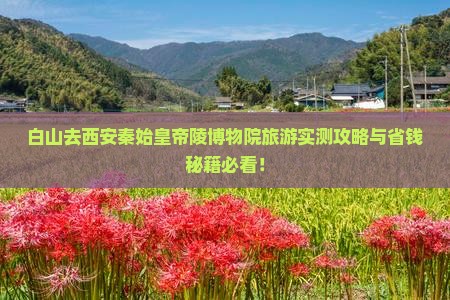 白山去西安秦始皇帝陵博物院旅游