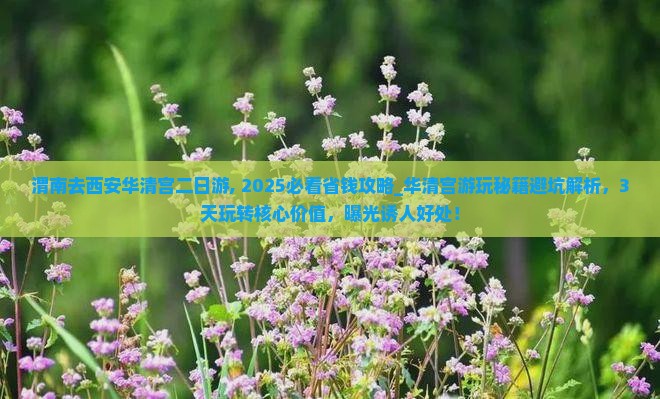 渭南去西安华清宫二日游