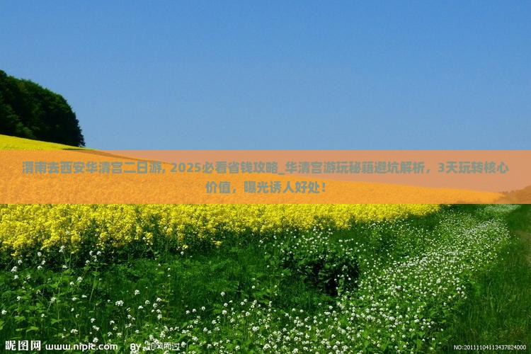 渭南去西安华清宫二日游